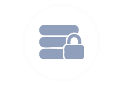 Custom Web Design