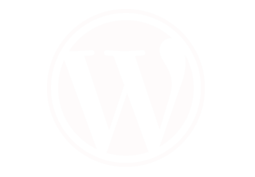 Custom Web Design